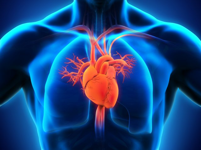 The Effects of Cardiovascular Rehabilitation on myocardial infarction patients