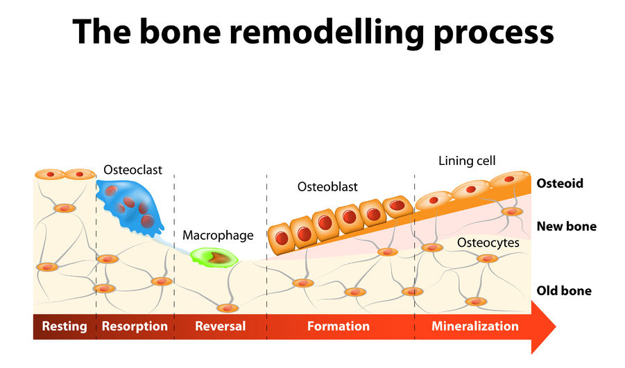 What are the benefits of vitamin D for osteoporosis?