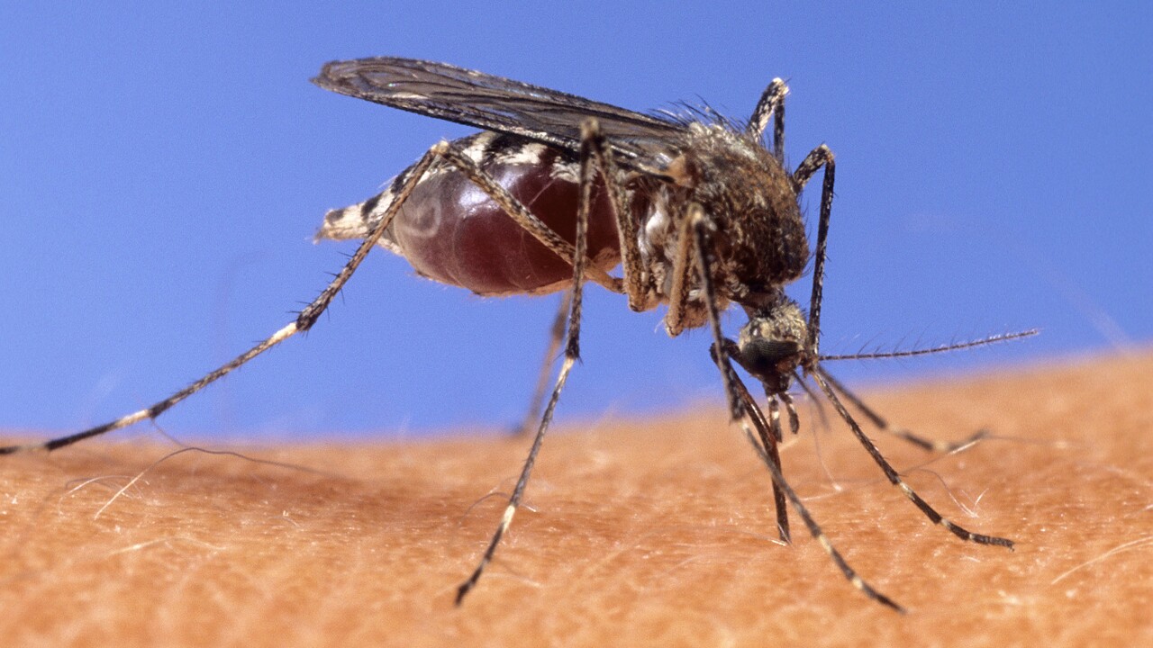 The Impact of Climate Change on mosquito-borne diseases in Kern County