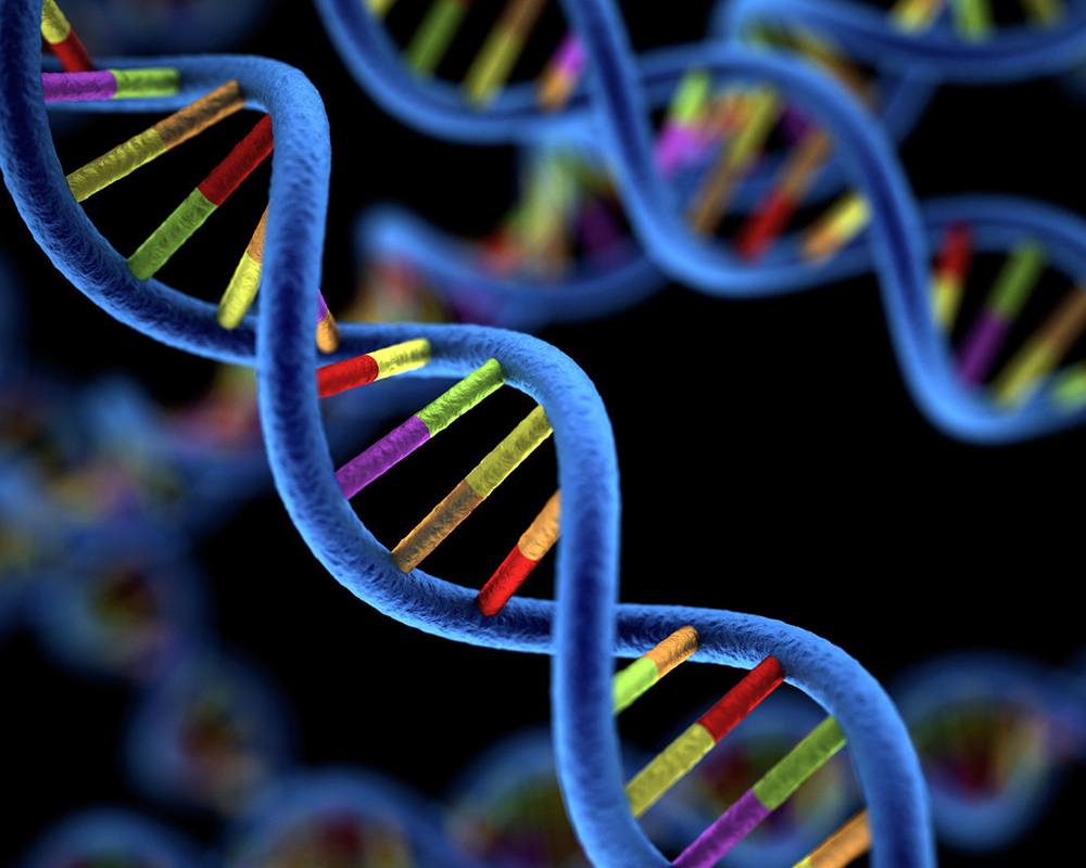 Advancing Genomic Research: A Closer Look at 10x Genomics