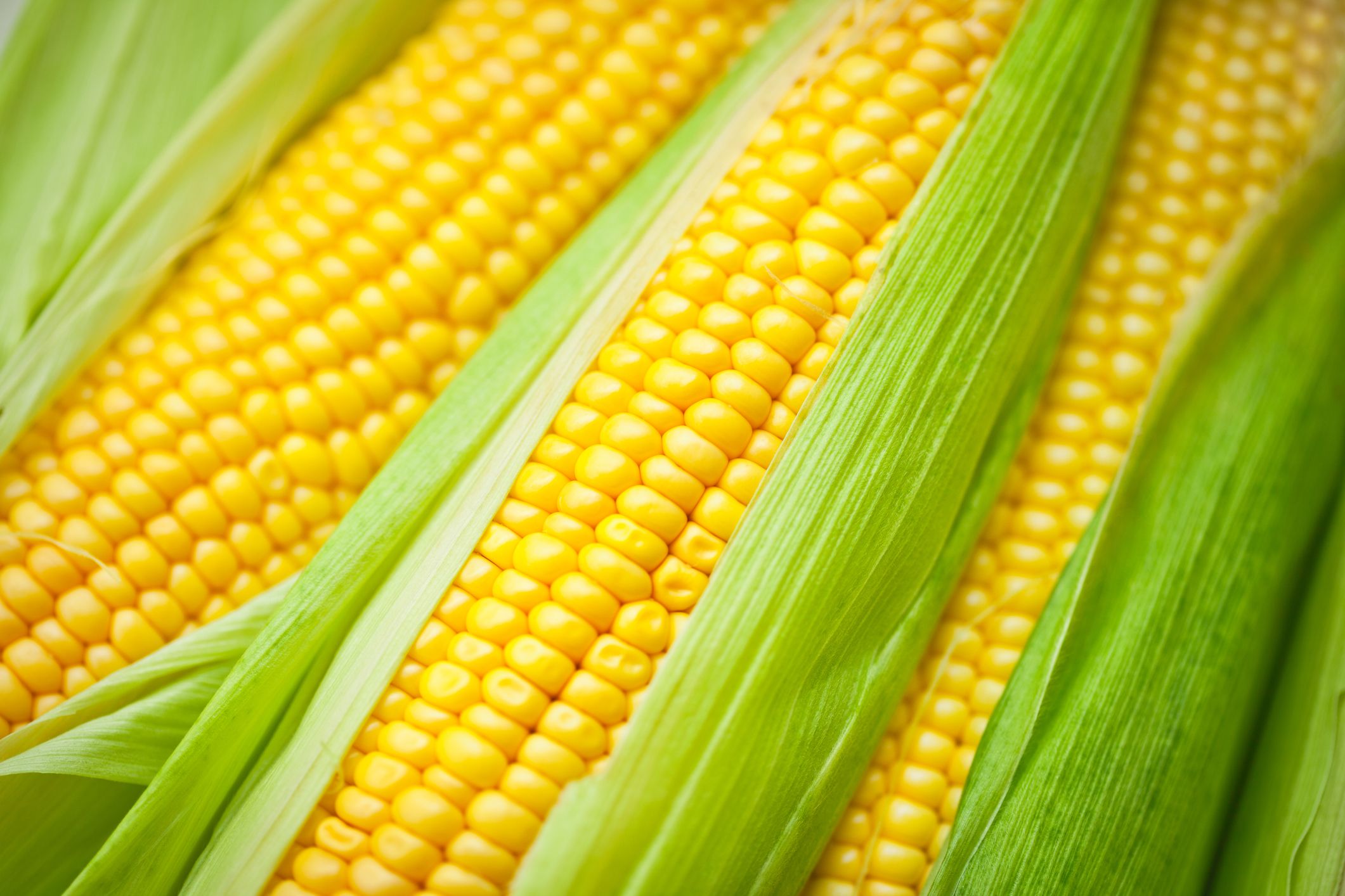 Is Corn a Vegetable or Something More?
