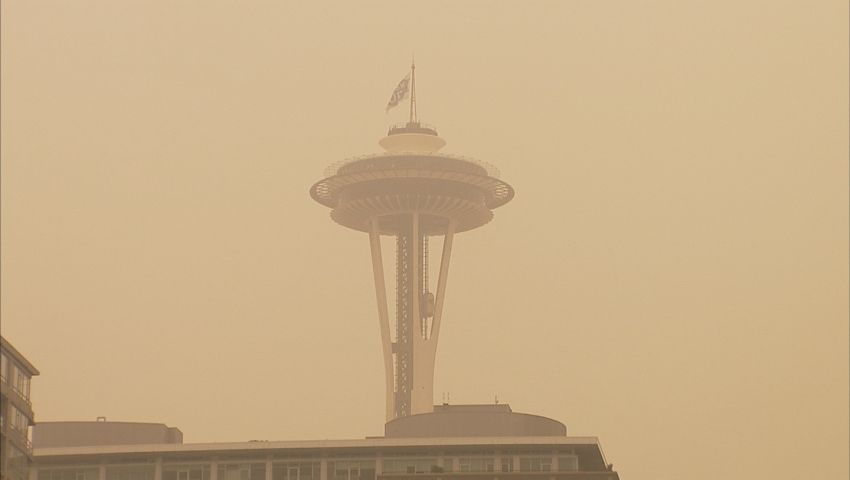 The Importance of Air Quality Seattle: A Look at the Stats
