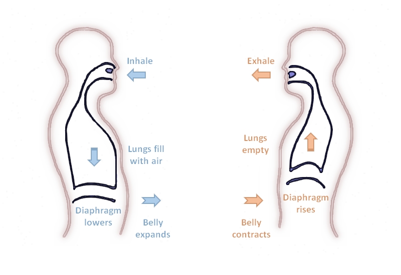 5 Essential Respiratory Exercises for Healthy Lungs