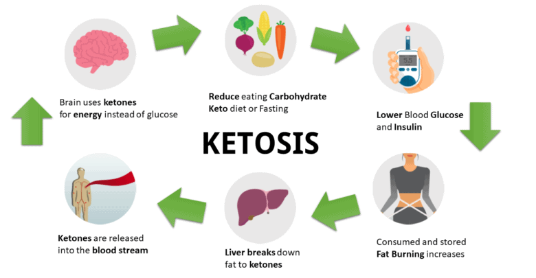 Keto diet vs other diets weight loss success