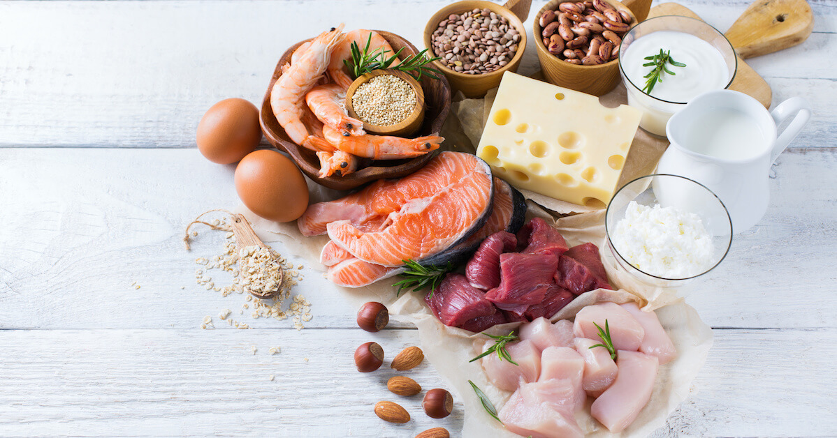 Benefits of Increased Protein Intake
